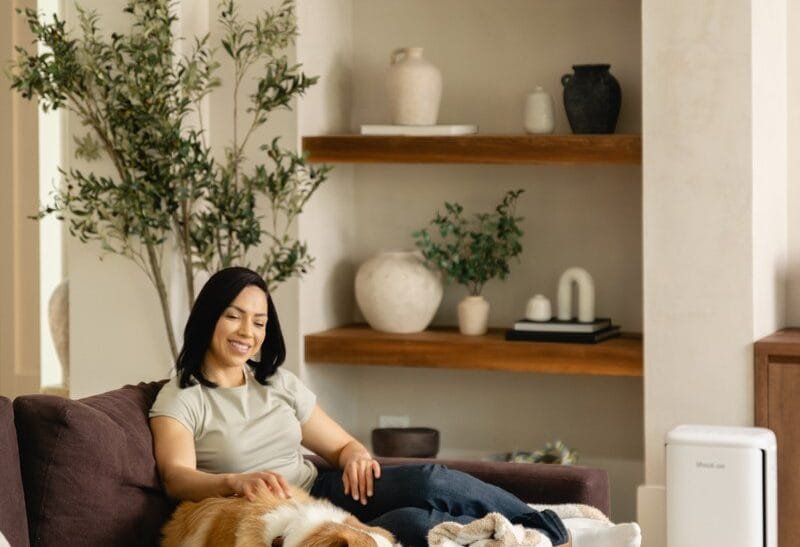 Levoit Vital Pet Pro ra mắt, giải pháp lọc không khí cho nhà có thú cưng