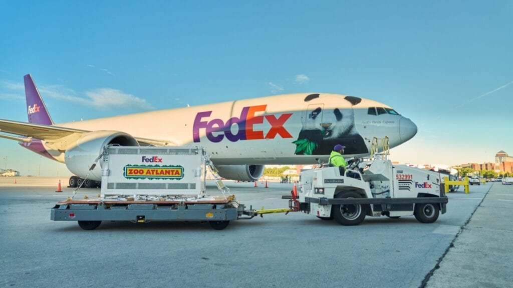 FedEx vận chuyển gấu trúc và bài toán logistics không có chỗ cho sai số