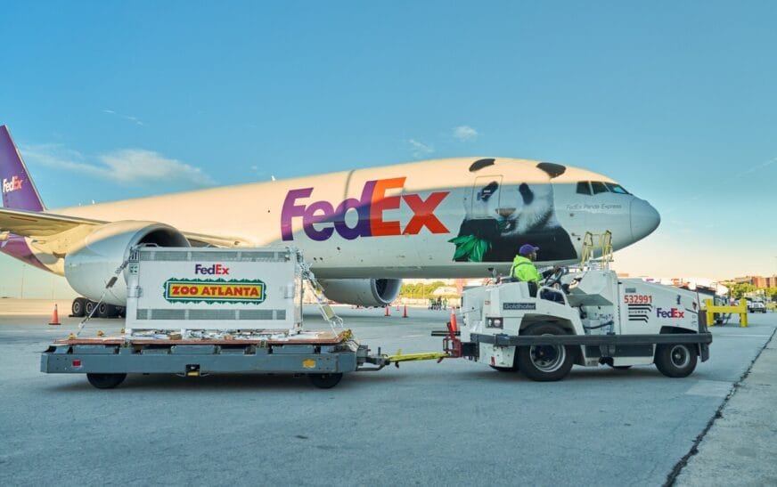 FedEx vận chuyển gấu trúc và bài toán logistics không có chỗ cho sai số