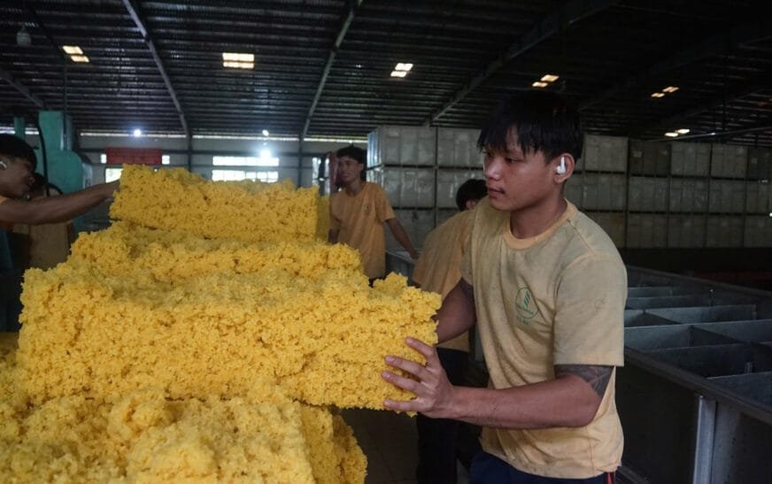 Cao su Việt Lào: ‘Tiên phong chuyển đổi xanh, tối ưu hóa chuỗi giá trị và phát triển bền vững tại Champasak’