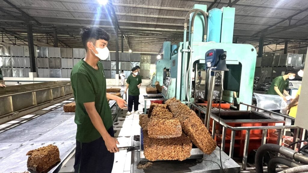Công ty TNHH MTV Quasa Geruco Lào: Tiên phong mở rộng vùng nguyên liệu và xây dựng hệ sinh thái cao su bền vững tại Trung Lào
