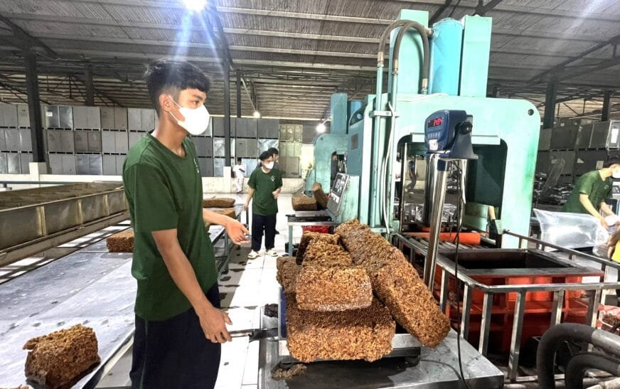 Công ty TNHH MTV Quasa Geruco Lào: Tiên phong mở rộng vùng nguyên liệu và xây dựng hệ sinh thái cao su bền vững tại Trung Lào