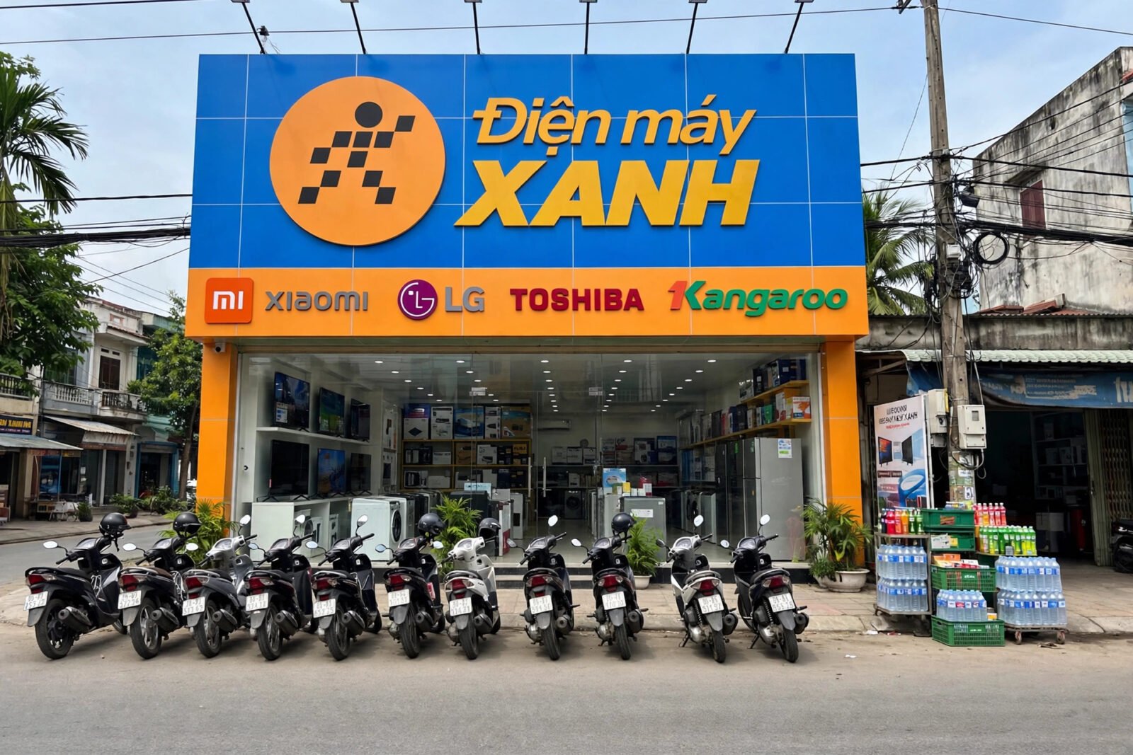 Cửa hàng Điện Máy Xanh tại Việt Nam