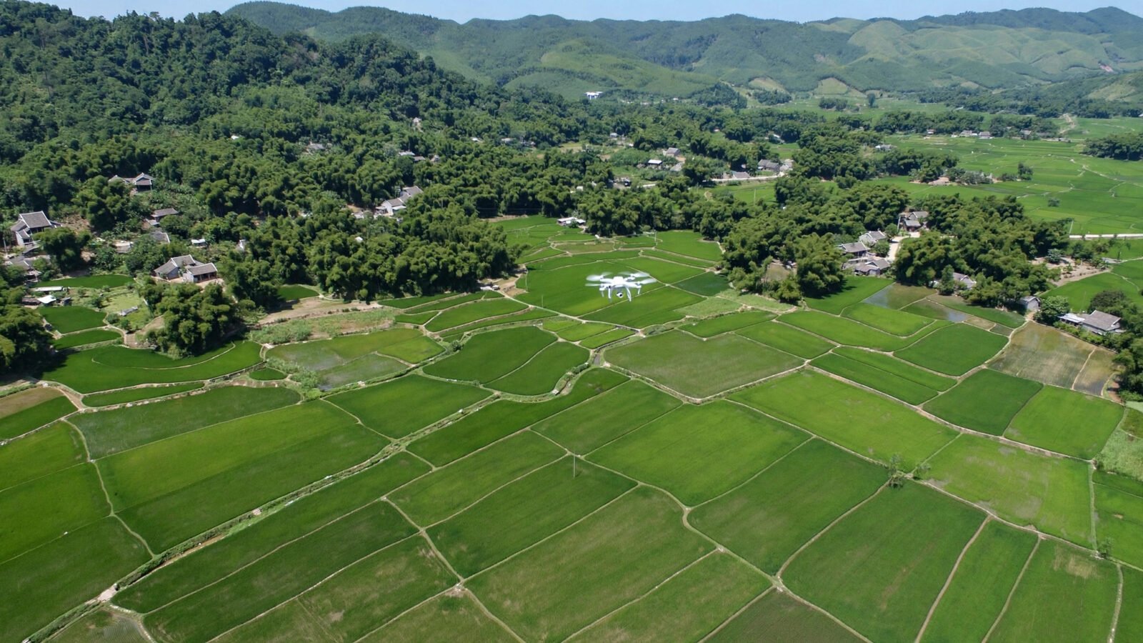 UAV bay trên cánh đồng và bìa rừng, thu thập dữ liệu cho nền tảng UAV VNPT phục vụ giám sát tài nguyên và nông nghiệp